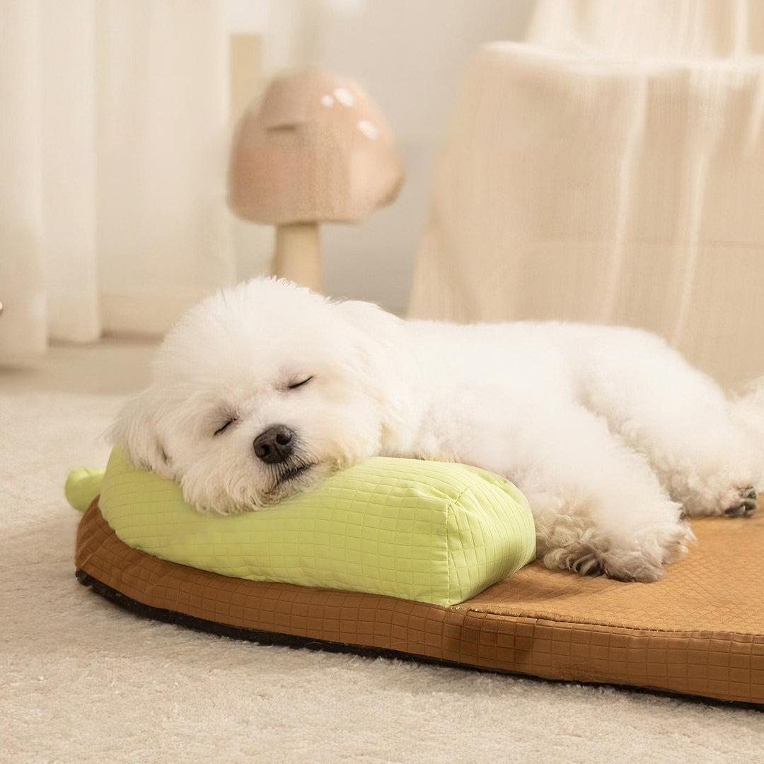 Playful Frog-Shaped Dog Bed