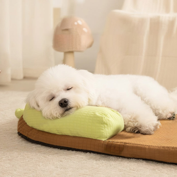 Playful Frog-Shaped Dog Bed