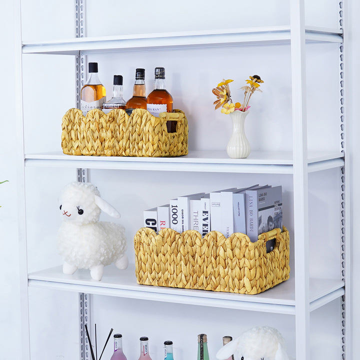 Home Storage Decorative Basket Bowlift