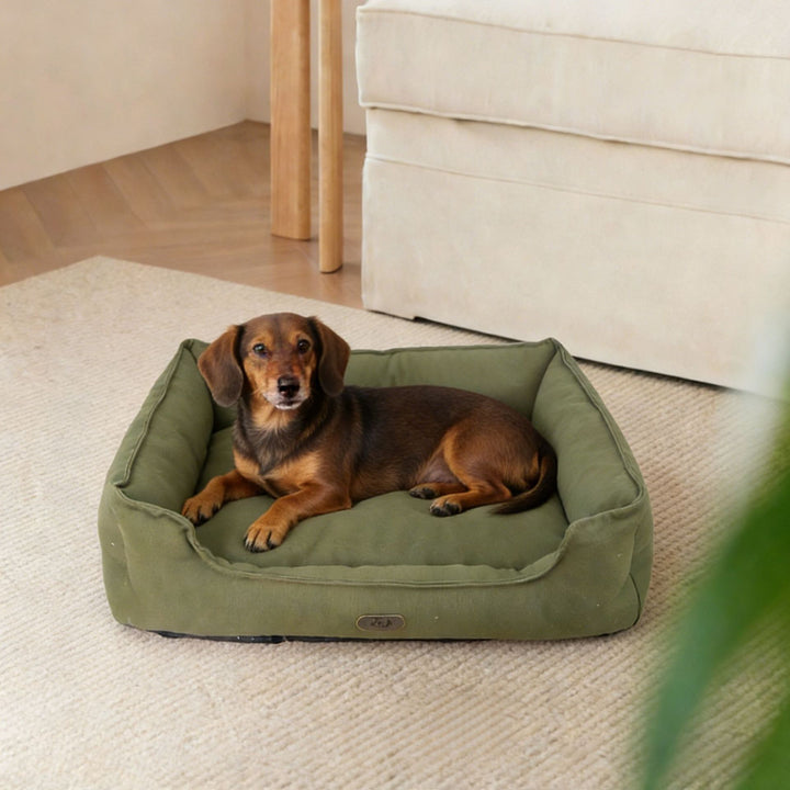Durable Outdoor dog bed