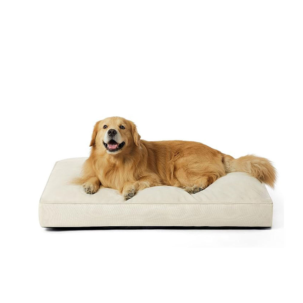 Orthopedic Supportive Dog Bed