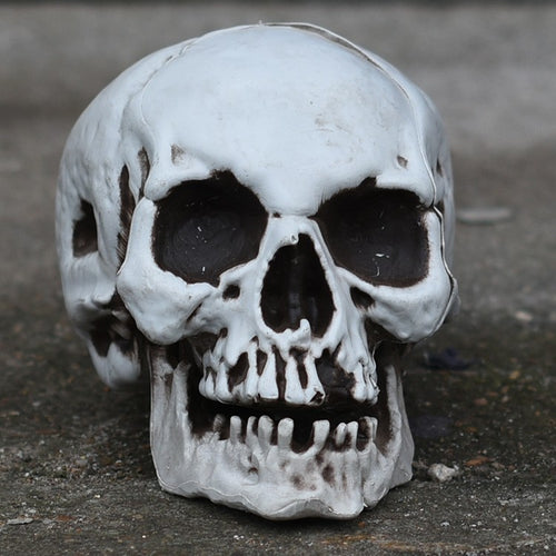 Decorative Skull Smartphone Stand Bowlift