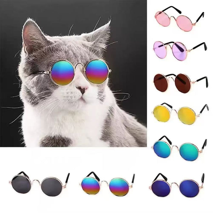 Pet Sunglasses Bowlift