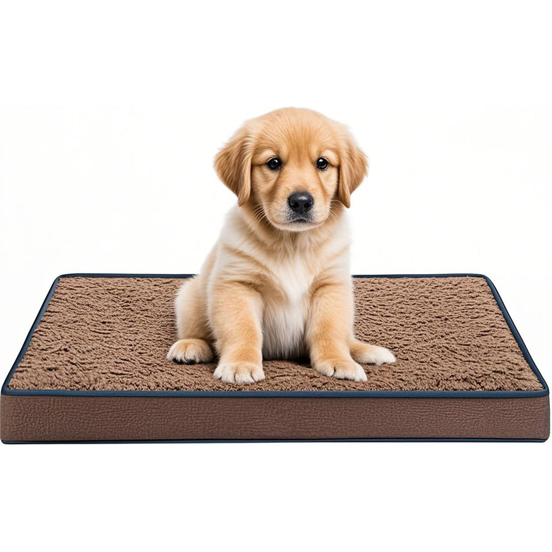 Memory Foam Dog Bed
