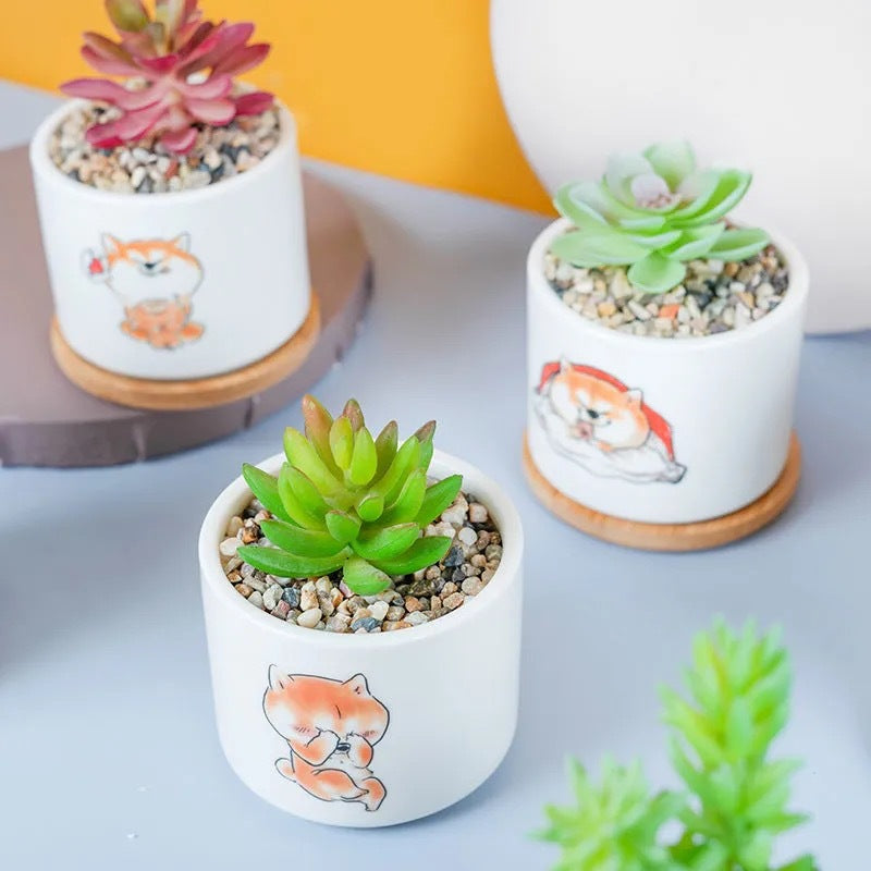 Cute Animal-Themed Succulent Planter Bowlift