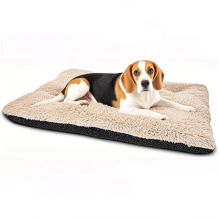 Orthopedic Comfort Dog Bed