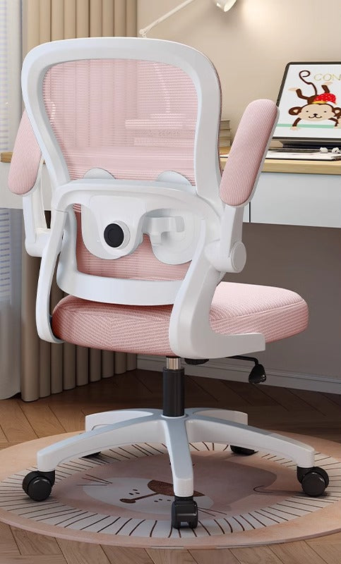 Ergonomic Study Chair Bowlift
