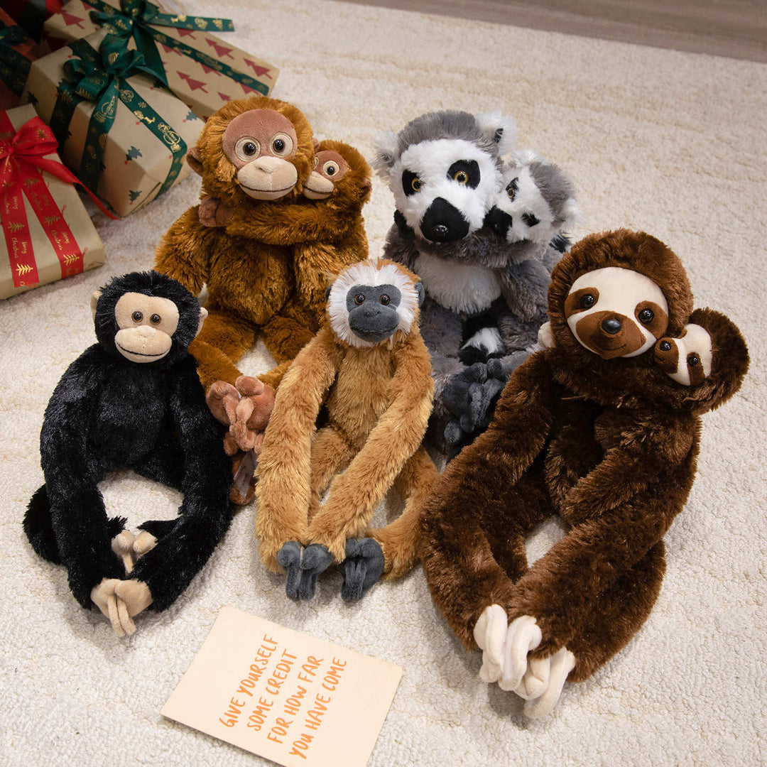 Plush Sloth Long-Limbed Hanging Cuddle Toy Bowlift