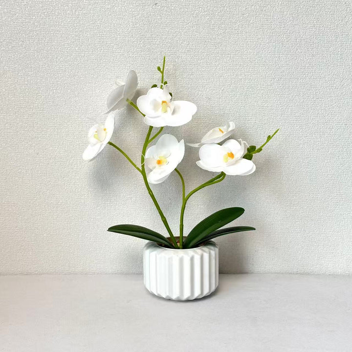 Lifelike Orchid Decorative Table Centerpiece