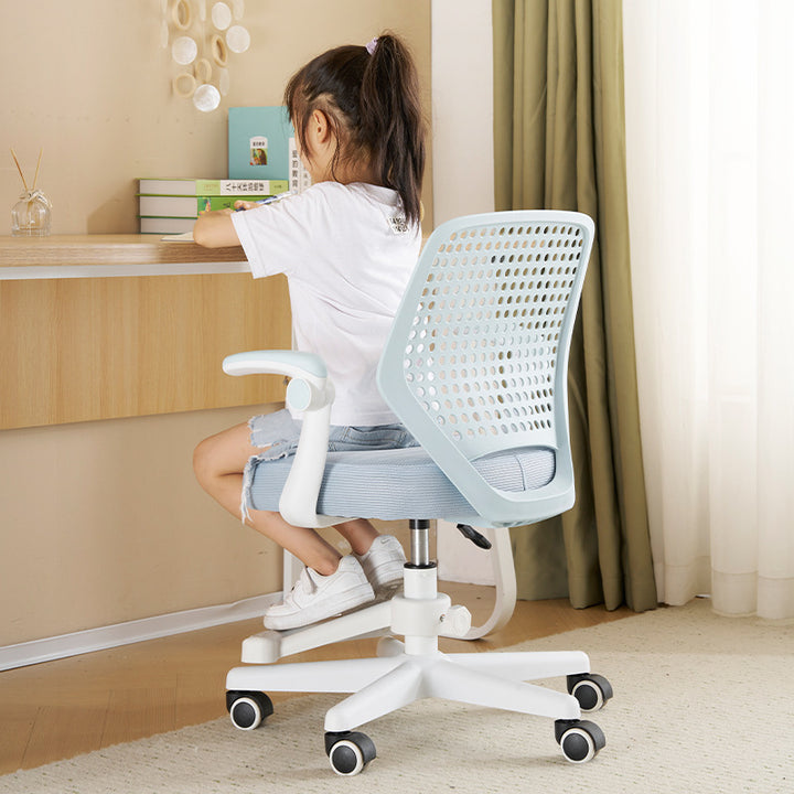 Adjustable Ergonomic Office Chair Bowlift