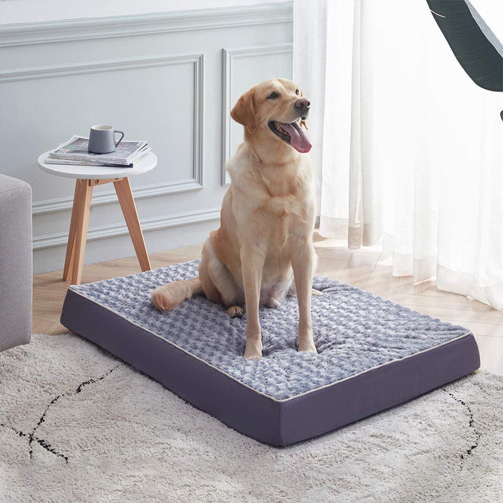 Plush Comfort Dog Bed