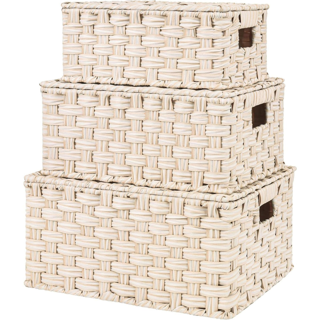 Handwoven Storage Baskets Set Bowlift
