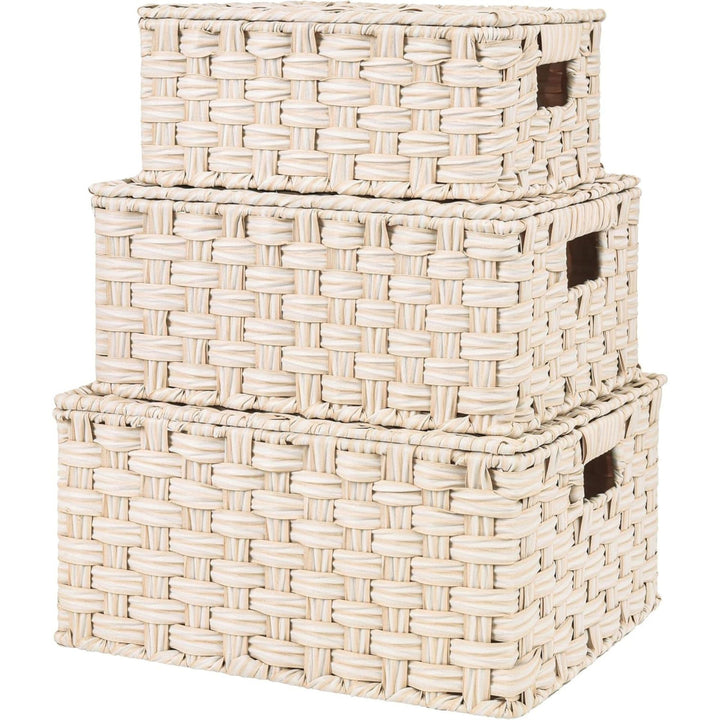 Handwoven Storage Baskets Set Bowlift