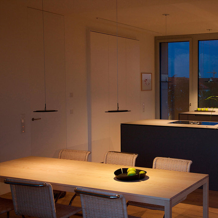 Contemporary Overhead Hanging Light