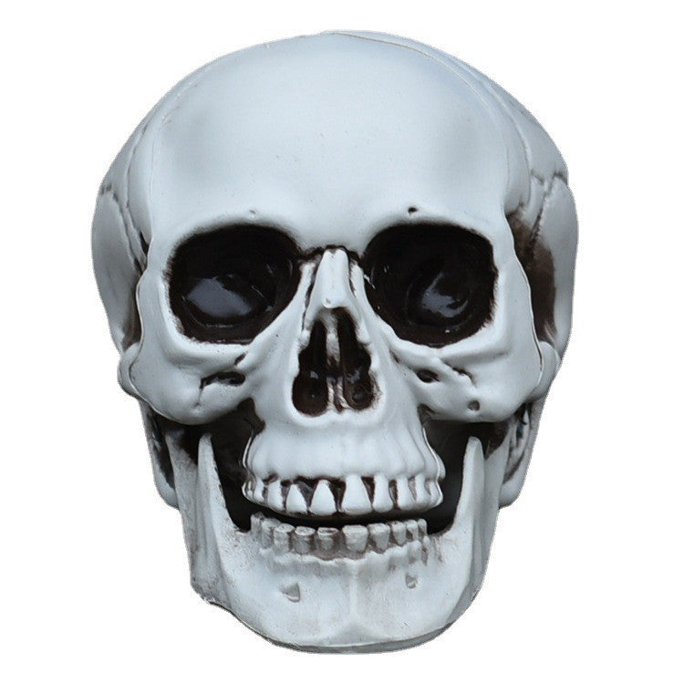 Decorative Realistic Skull Figurine Bowlift