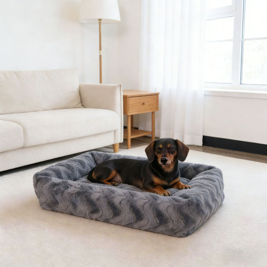 Soft Memory Foam dog bed