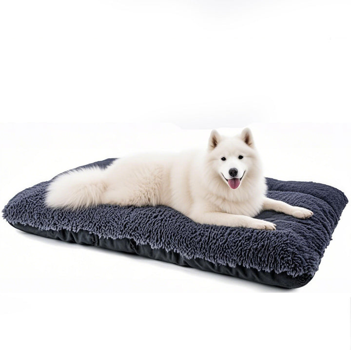 Orthopedic Comfort Dog Bed