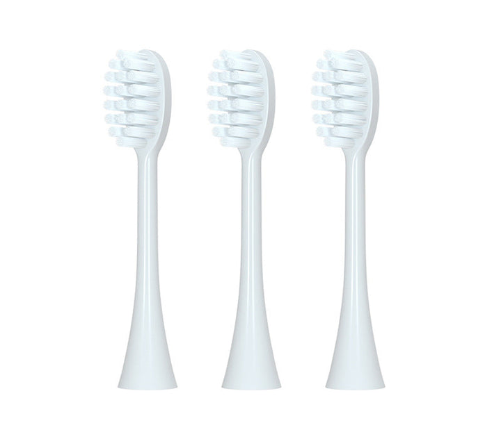 Eco-Friendly Toothbrush Bowlift