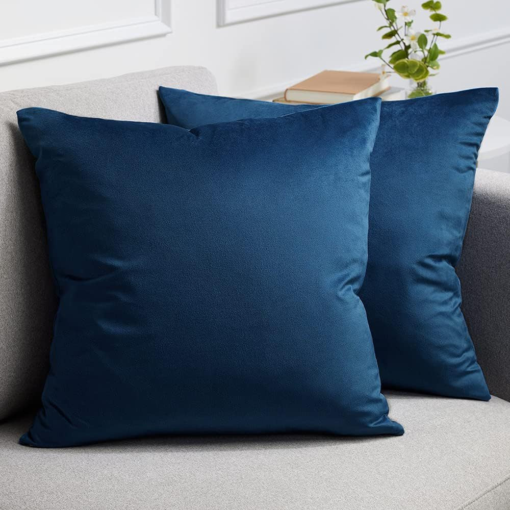 Velvet Square Decorative Throw Pillow Set Bowlift