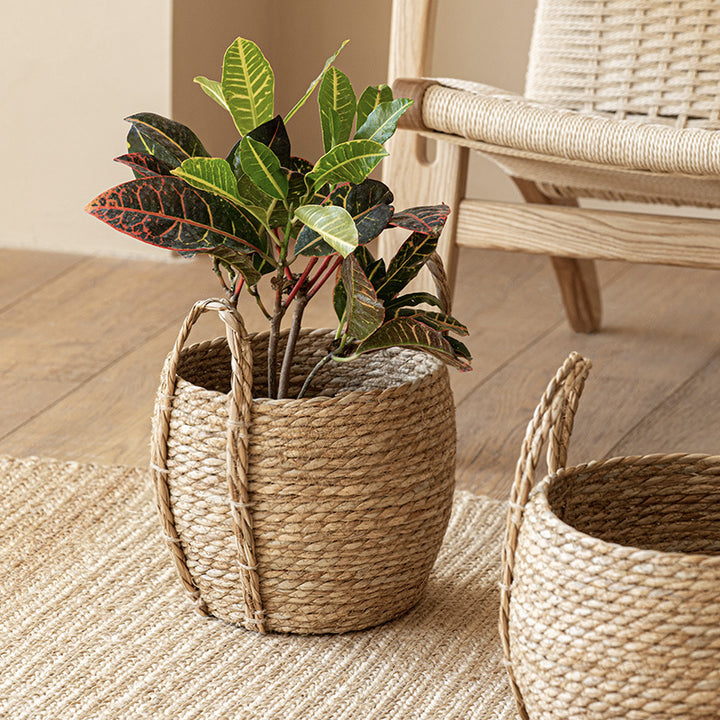 Handwoven Seagrass Storage Basket with Waterproof Liner and Braided Handles Bowlift