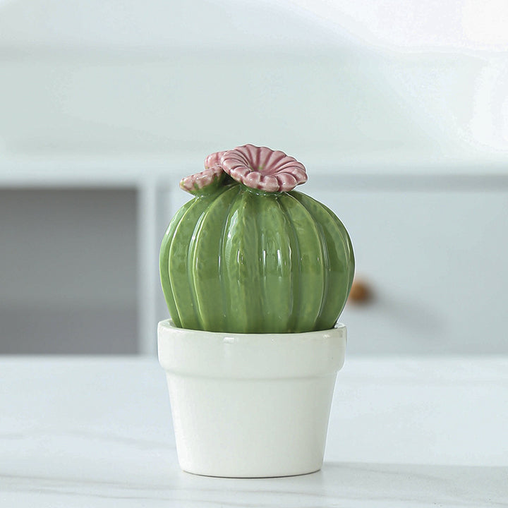 Decorative Ceramic Cactus Planter Bowlift