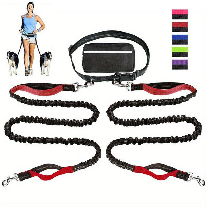 FlowLeash — Experience gentle control and relaxed walks without jerks! | Bowlift