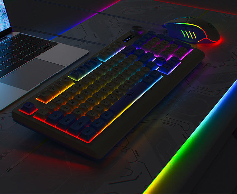 Retro RGB Mechanical Keyboard and Optical Gaming Mouse Set Bowlift