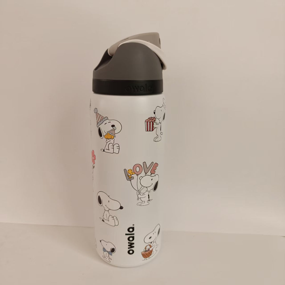 Double-Wall Vacuum Insulated Stainless Steel Travel Bottle With Flip Straw Leakproof Lid And Character Print