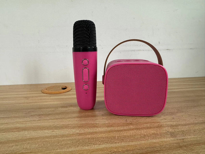 Portable Bluetooth Speaker and Microphone Bowlift