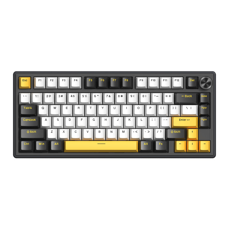 Gasket Mount RGB Gaming Keyboard Bowlift