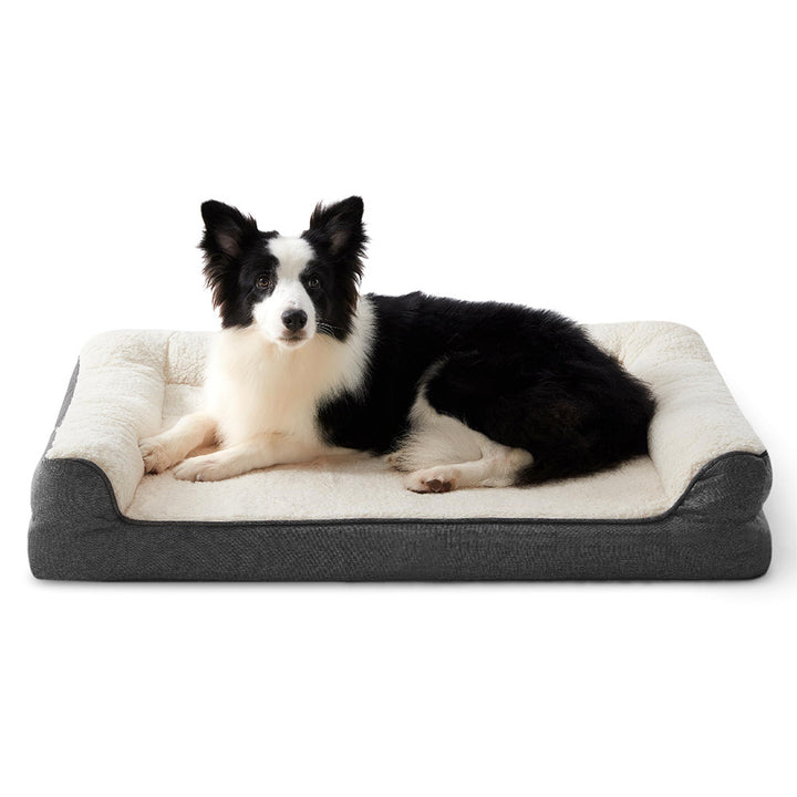 Plush Bolstered Dog Bed