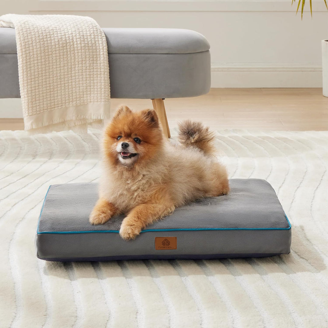 Orthopedic Support Dog Bed