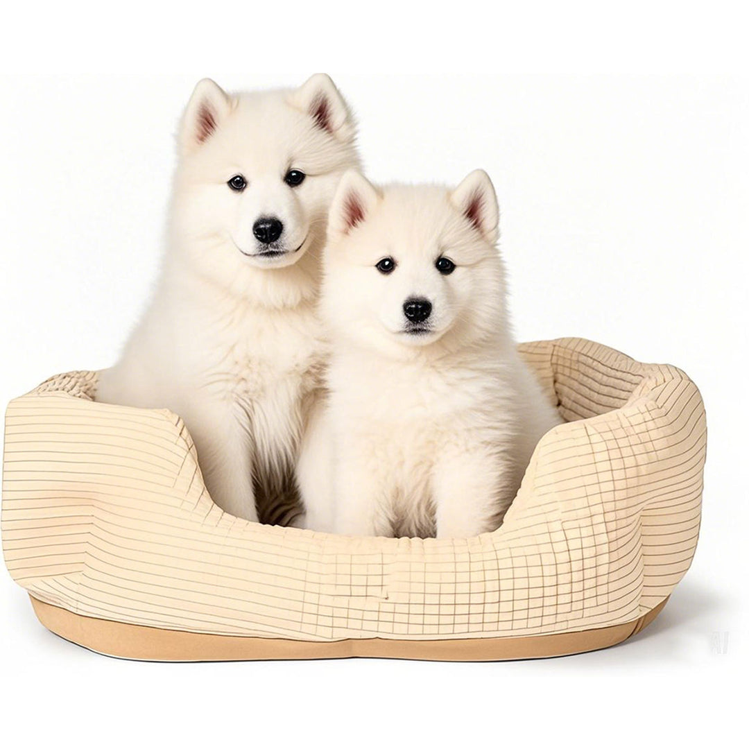 Cozy Orthopedic Dog Bed 1785335800