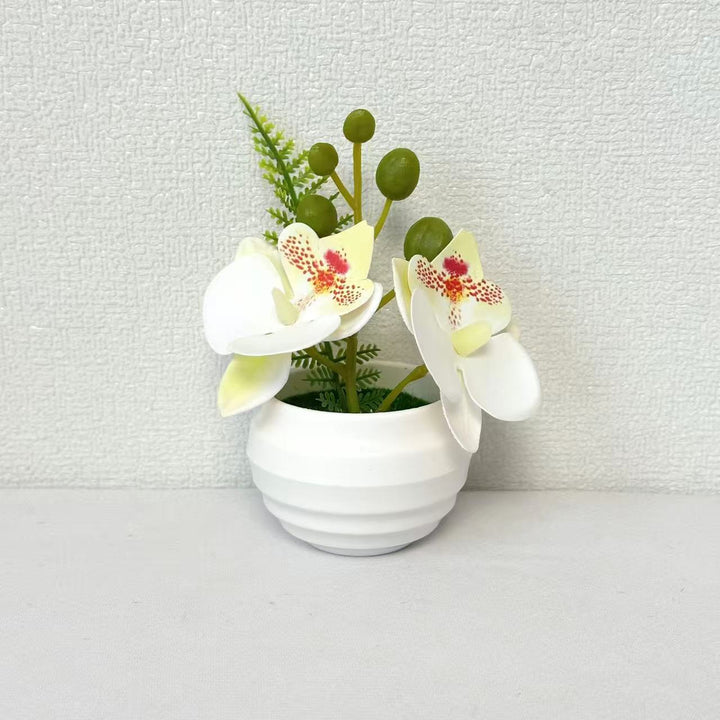 Lifelike Miniature Orchid Arrangement