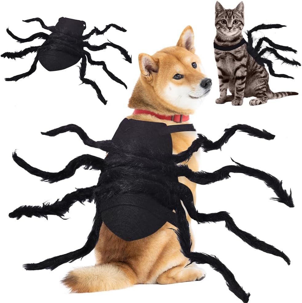 Costume accessory