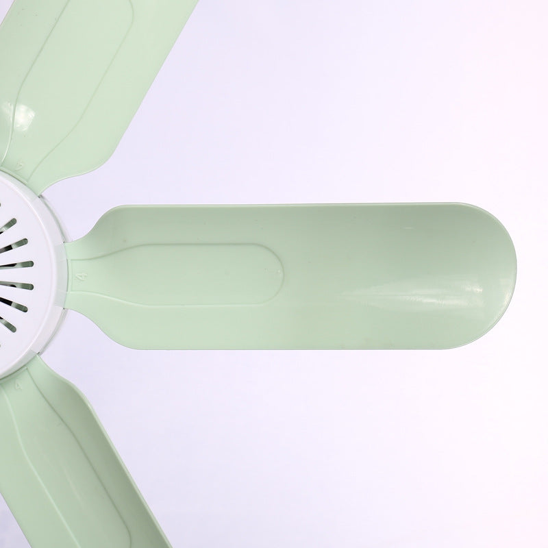 Women's ceiling fan with translucent blades and quiet operation Bowlift