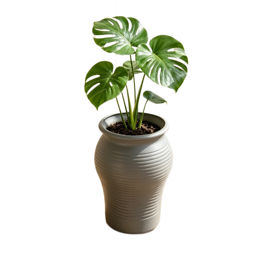 Decorative Planter Bowlift