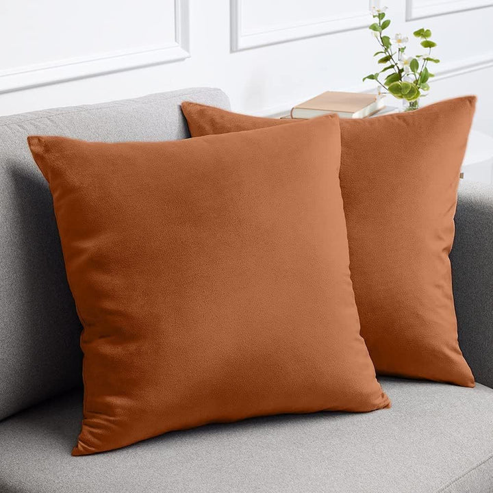 Velvet Square Decorative Throw Pillow Set Bowlift