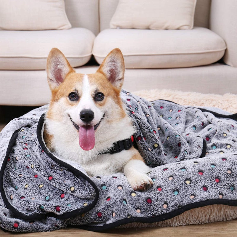 Women's Cozy Plush Blanket with Polka Dot Pattern Bowlift