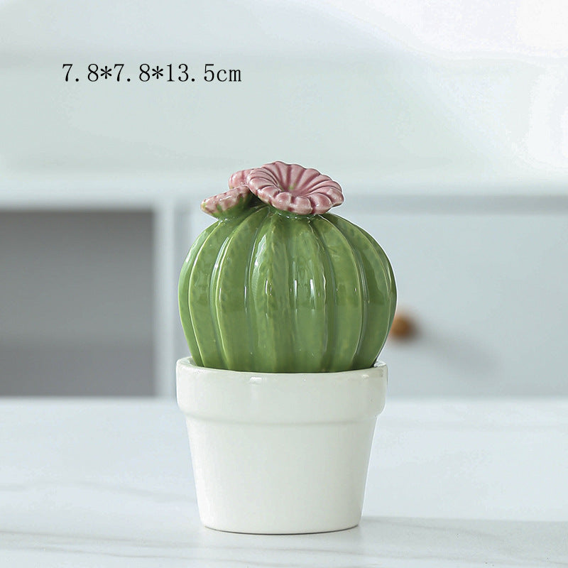 Decorative Ceramic Cactus Planter Bowlift