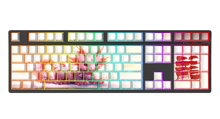 RGB Backlit Mechanical Keyboard Bowlift