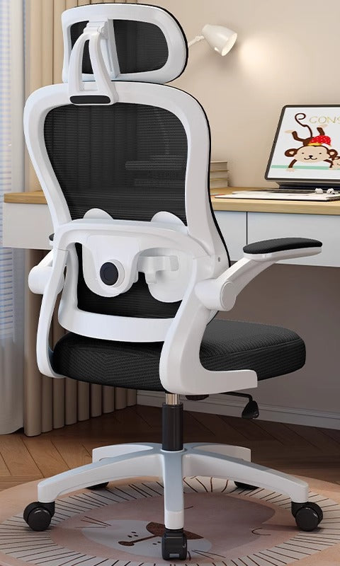 Ergonomic Study Chair Bowlift