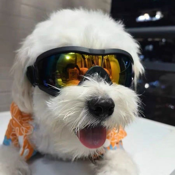 Pet Impact-Resistant Anti-Fog Motorcycle and Ski Protective Goggles Bowlift