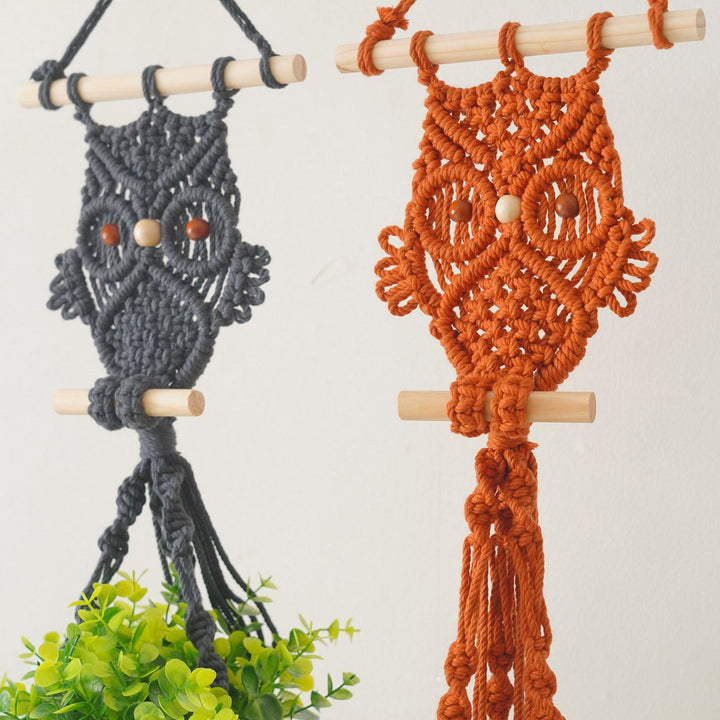 Decorative Macrame Owl Planter Bowlift