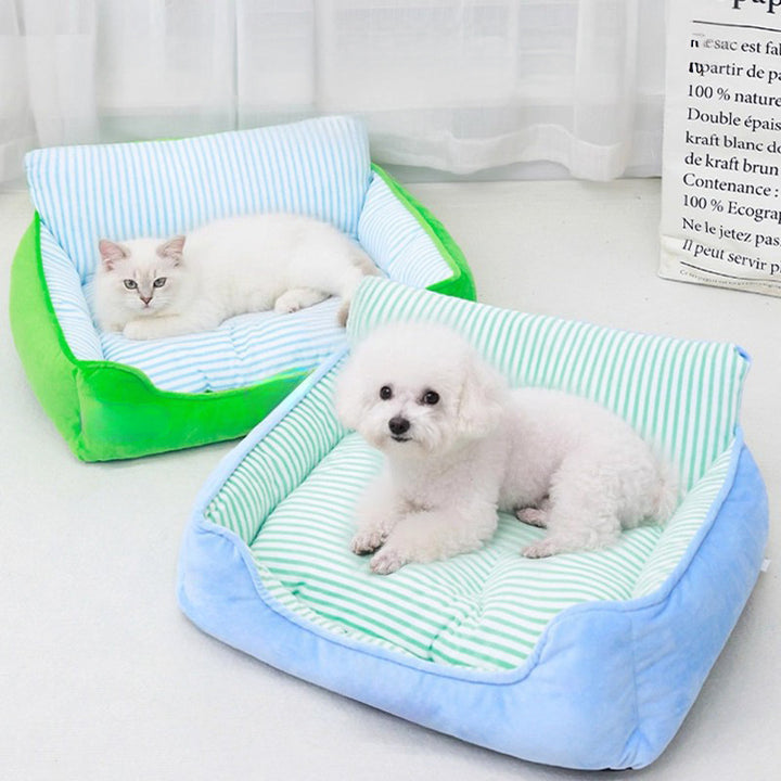 Comfortable Elevated Dog Bed