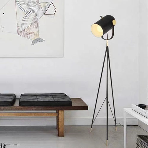 Modern Adjustable Floor Lamp with Tripod Base