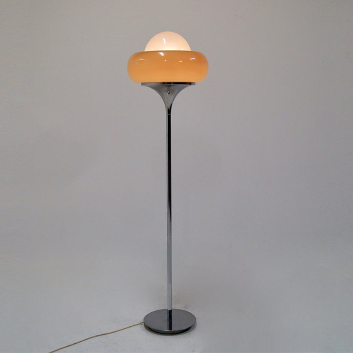Modern Aesthetic Floor Lamp