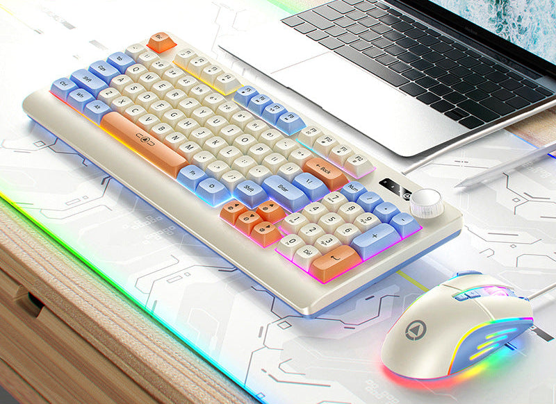 Retro RGB Mechanical Keyboard and Optical Gaming Mouse Set Bowlift