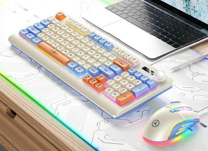 Retro RGB Mechanical Keyboard and Optical Gaming Mouse Set Bowlift