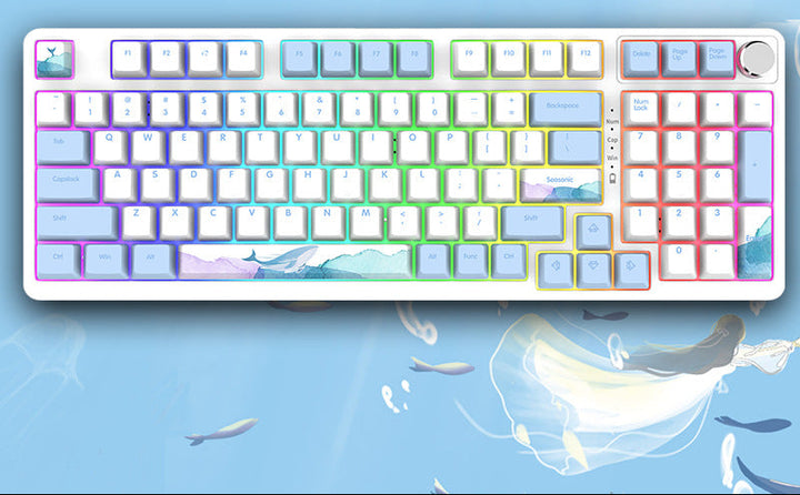 RGB Mechanical Gaming Keyboard with Hot-Swap Capability Bowlift